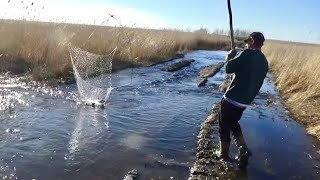 Я в шоке! Ловим рыбу на паук- хватку и хапугу прямо на дороге!