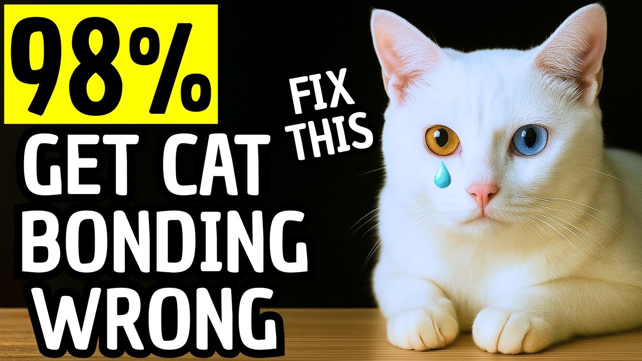 14 действенных способов заставить кошку полностью вам доверять