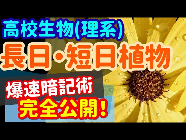 短日