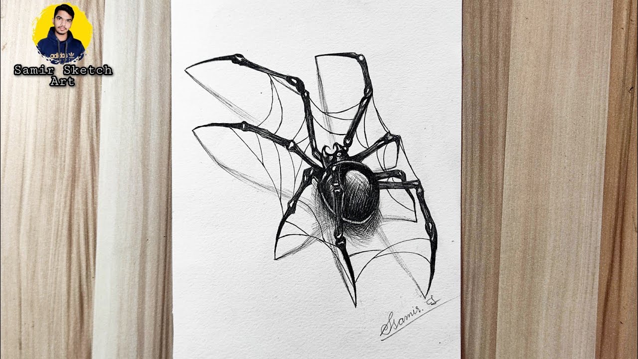 Tarantula – Cuddles Art
