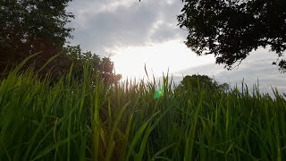 Bathing In The River My First Vlog Shivaay Sinha Vlogs