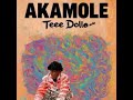 Teee Dollar Akamole Official Lyric Video