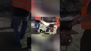 Инструкторский выстрел: как судья попал в участника #стрельба, #курьез, #несчастныйслучай, #оружие