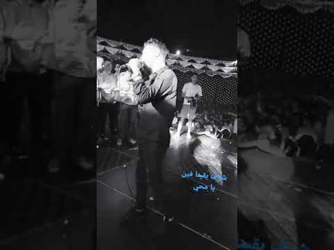 احمد عامر ودعاء رشوان شوف بقينا فين يا قلبي روقان وسلطنة ابن الاكابر والموناليزا شعبي كل يوم
