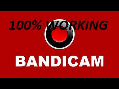 ბანდიკამის დაკრაკვა 100% WORKING