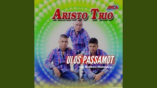 Ulos Passamot