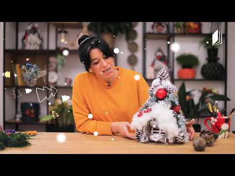 გასართობ-შემეცნებითი გადაცემა „როგორ გავაკეთოთ“ #ტელესკოლა