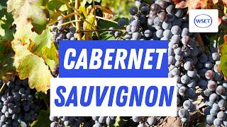 WSET 2 - Cabernet Sauvignon: When the New World blew France away