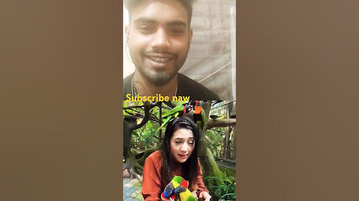 রিতু আপুর টিয়া পাখি বান্ধবী😘test shorts🦜Malaysia Parrot😍#short#Reactionshorts@reaction vlogger