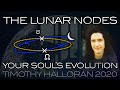 The Lunar Nodes: Your Soul's Evolutionary Journey. How to Learn Astrology Through Direct Experience.