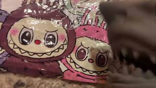 Shark puppet and evil labubu (horror)