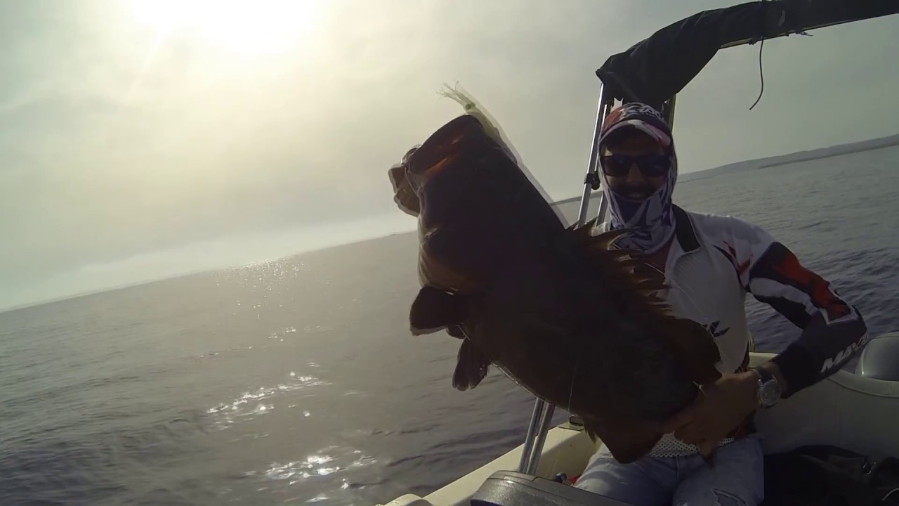 JLC XIPI PINK GLARE 120GR  BIG GROUPER