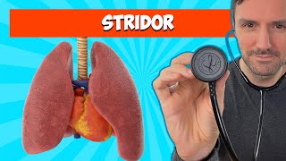 Stridor: Lung Sounds For Beginners 🔥🔥🔥 #lungsounds