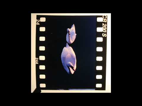 Aera — Aera - Flowers Under Water