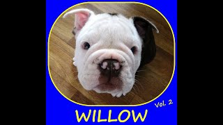 Willow:  Vol. 2