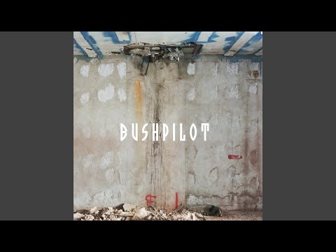Bushpilot — 21st Century Breakdown (Bonus 7" Track)