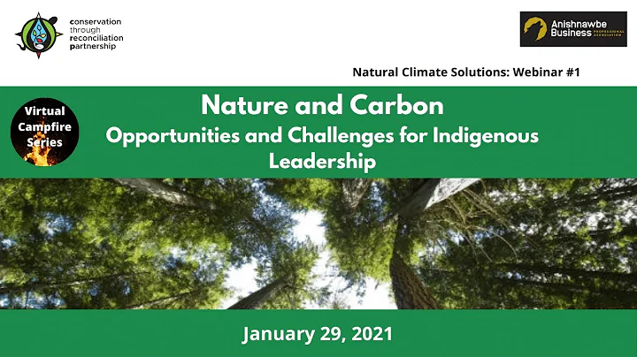 Nature and Carbon: Opportunities and Challenges fo...