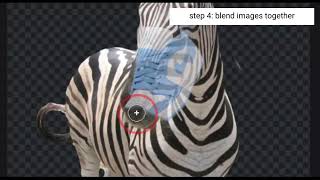 Surreal Drawing Part 1: reference image Pixlr tutorial