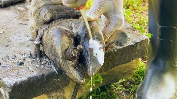 Cleaning and treating foot ulcers, removing screws from