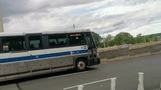 MTA Bus: 2006 MCI D4500CL 3286 QM31