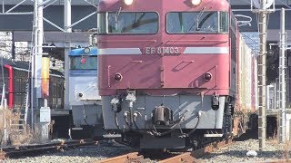 【JR貨物】日中の鹿児島本線でＥＦ８１同士の追い越し