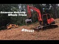 Forestry Mulching with an Excavator! Opening up over grown road