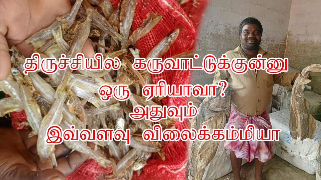 திருச்சில 100 வருஷமா இயங்கிக்கிட்டு இருக்க  கருவாட்டு பேட்டை😱#food #chennai #trichy #fish