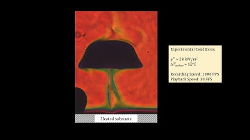 Decoding the life cycle of a single bubble in a pool of liquid: Schlieren-based perspective