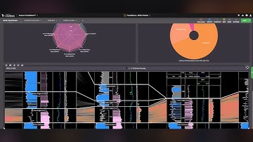 Prism Software - Foundations and M&A