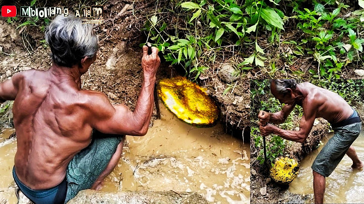 sedang viral‼️mendapatkan emas murni saat menggali tanah di pinggir sungai
