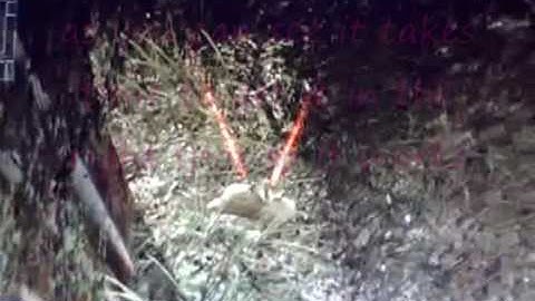 new cod4 claymore glitch