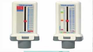 Celebrity Product Design and Mass Manufacture- Design Optimization (Preview) Wealth