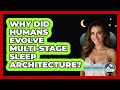 Why Did Humans Evolve Multi-stage Sleep Architecture? - Sleep Wellness Workshop