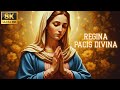 Ave Maris Stella &amp; Ave Maria | Catholic Gregorian Chant &amp; Holy Choir | Holy Choir to Mary