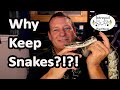 Afraid of snakes  heres why some people raise them as pets