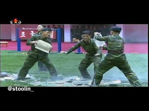 I put YMCA over North Korean Propaganda