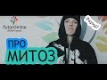 Биология | Рэп про жизненный цикл клетки - Митоз