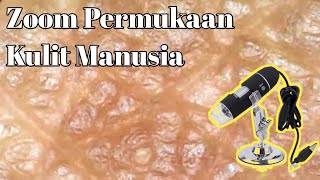 Zoom 1000X: tampilan kulit ketika dilihat menggunakan mikroskop digital