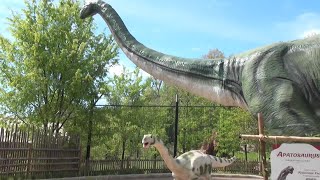 VR180 3D AKRON ZOO DinoTrek 2025