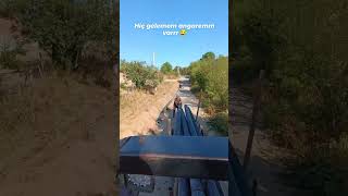 Hiç Gelemem Işim Varr