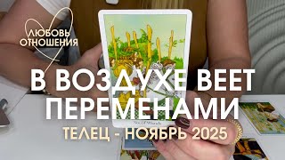 видео: ТЕЛЕЦ Любовь/Отношения : В ВОЗДУХЕ ВЕЕТ ПЕРЕМЕНАМИ | Ноябрь 2025 таро прогноз картинка: ТЕЛЕЦ Любовь/Отношения : В ВОЗДУХЕ ВЕЕТ ПЕРЕМЕНАМИ | Ноябрь 2025 таро прогноз
