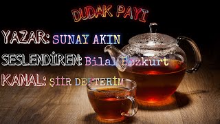 Sunay Akın - Dudak Payı Resimi