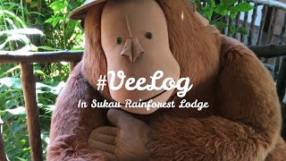 Into The Wild In Sukau, Kinabatangan Teaser