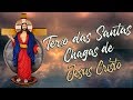 Tero das santas chagas de jesus cristo