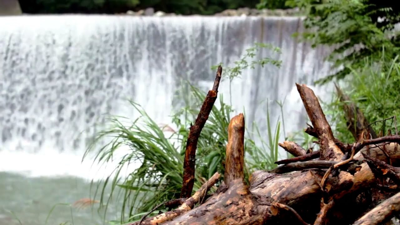 Heavy Rain Sound For Soothing Sleep, Study, Relax | Ambient Sounds | Rainstorm | Calming Rain Sounds