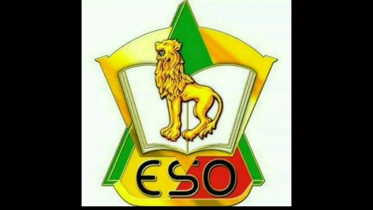 Dignitaire(ENSOA) 16em Promotion 💚💛❤️