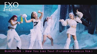 BLACKPINK - How You Like That (Acapella Ver.)