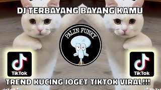 DJ TERBAYANG BAYANG KAMU | TREND KUCING JOGET VIRAL TIKTOK!!!