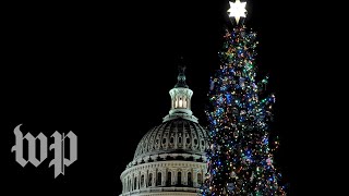 The National Christmas Tree Lighting Ceremony at the U.S. Capitol | The Washington Post