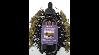How to Make Medicinal Herbal Elderberry Tincture Master Recipe